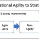 From operational to strategic agility Efficient Partners